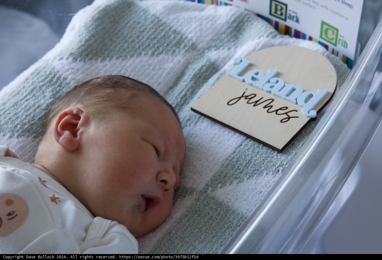 Welcome to the World, Leland