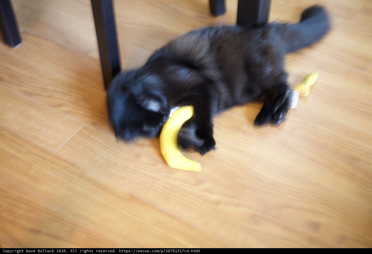 Wooden Floors and Fruitful Play