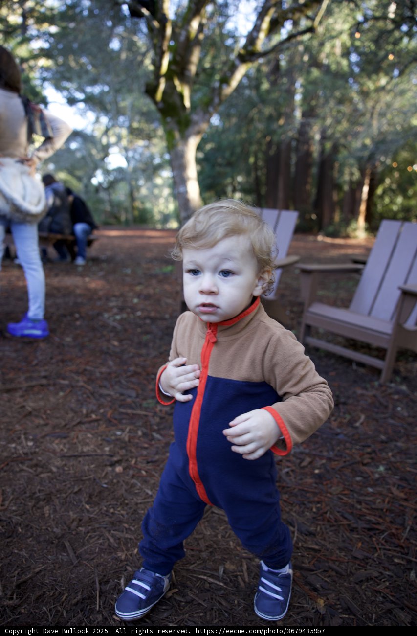 Exploring Thistlewyck: A Child's Adventure