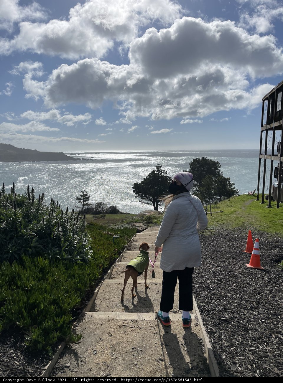 A Serene Stroll along the Seashore