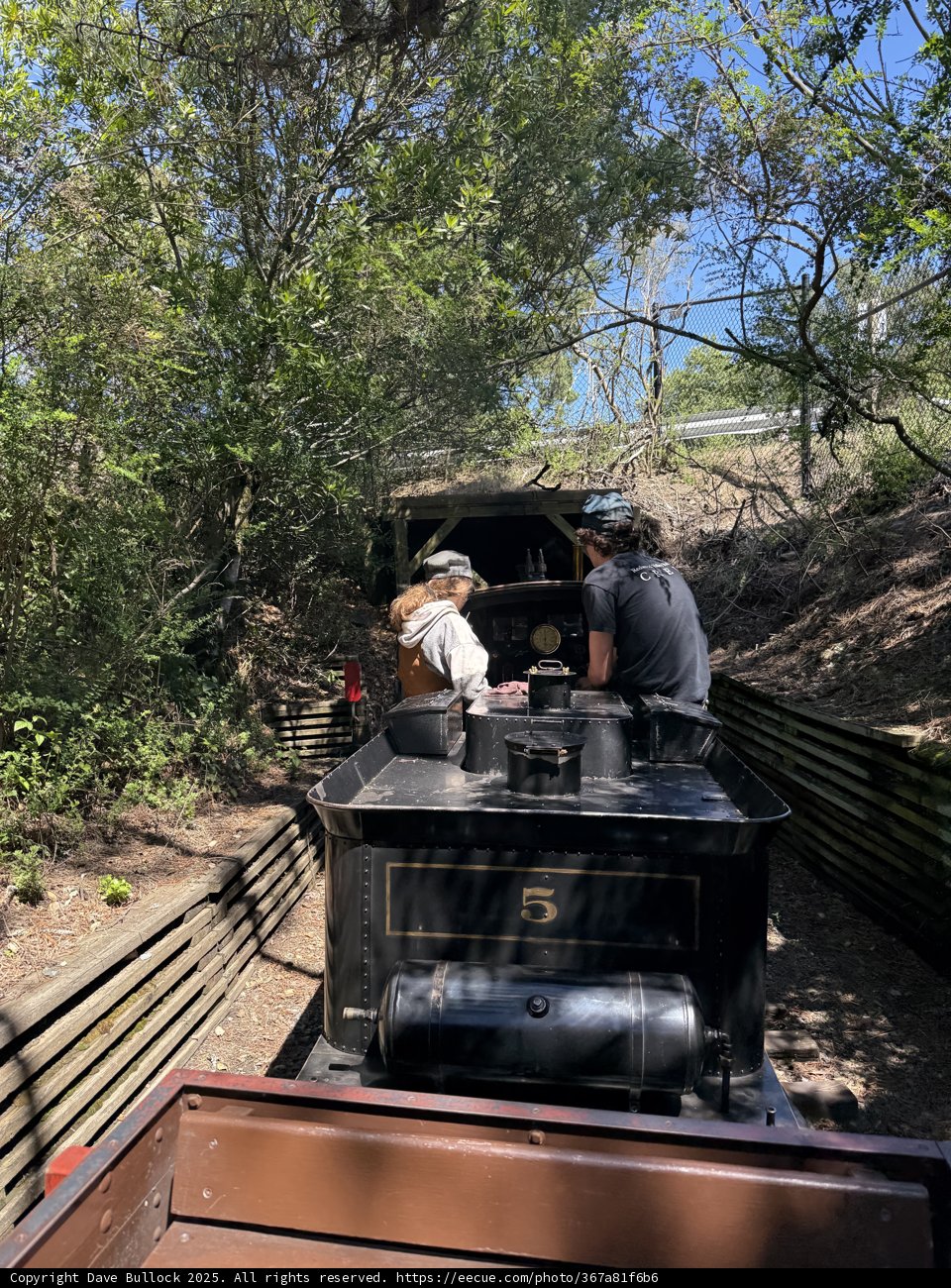 Journey Through the Woodland Railway