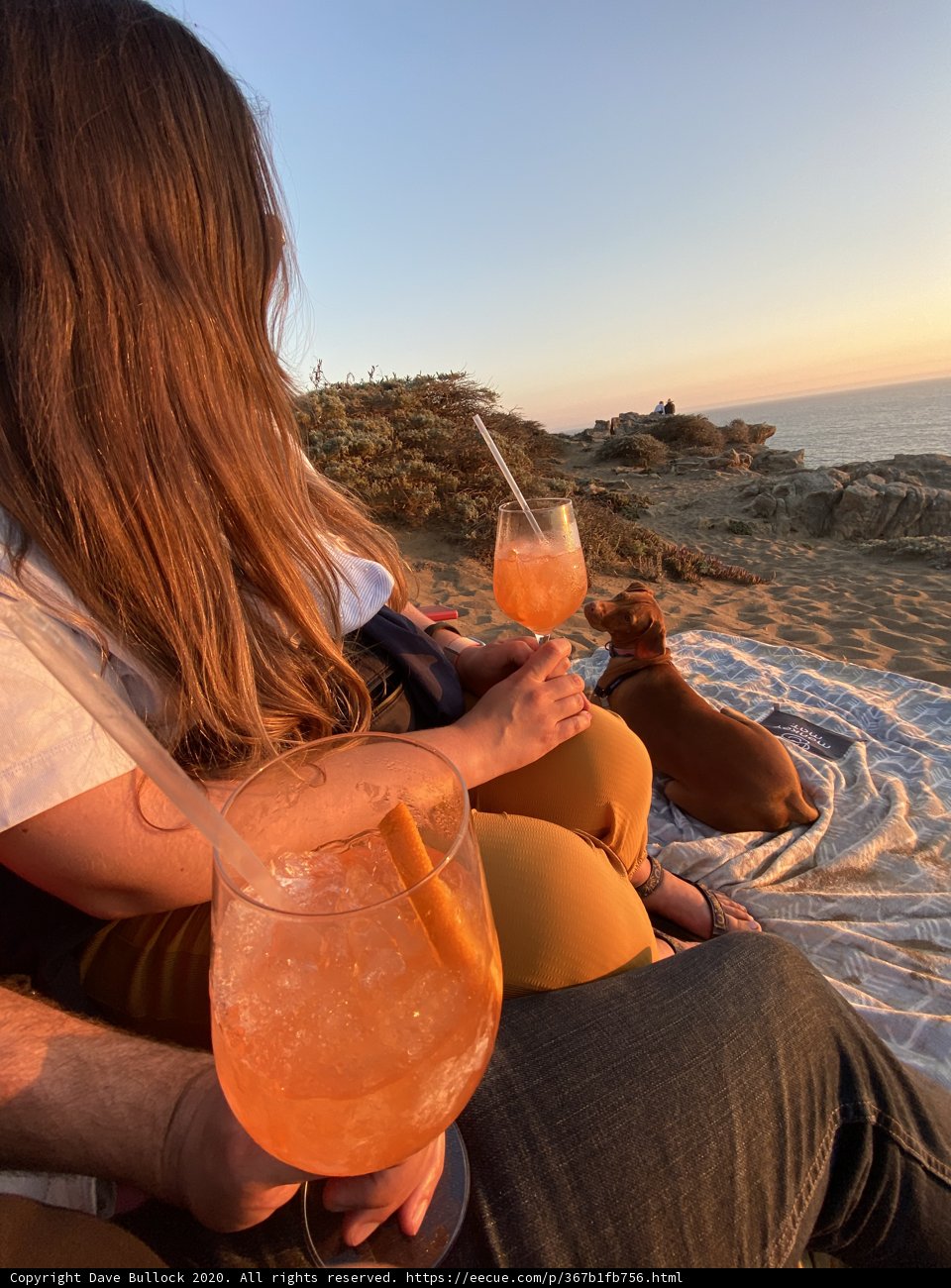 Beachside Bliss