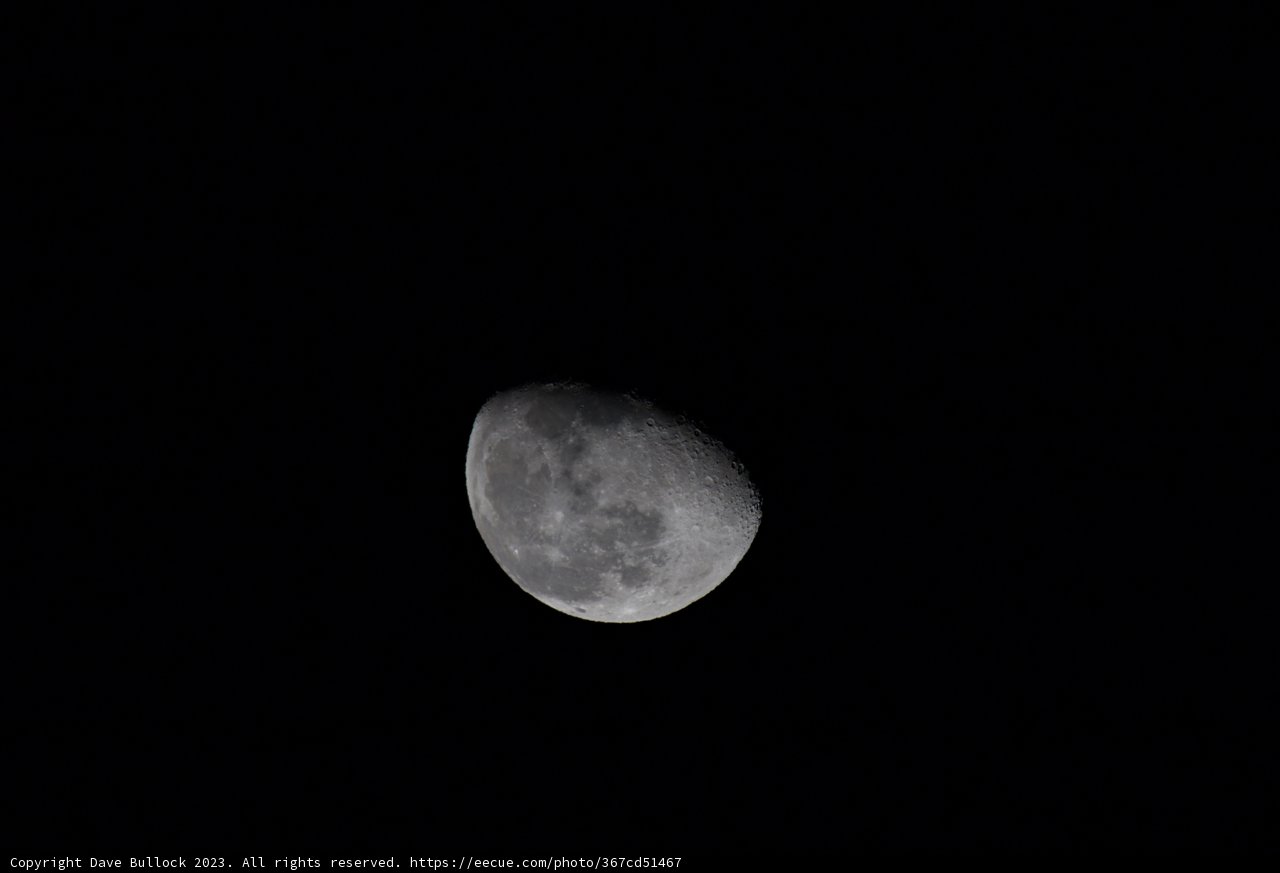 Moonlit Majesty in Monochrome