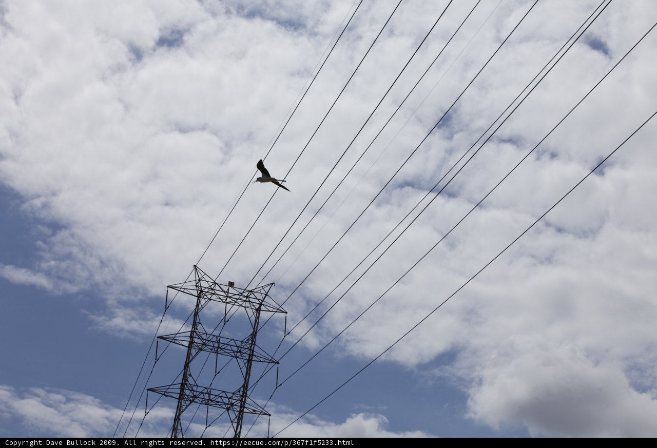 Flight over Power Lines