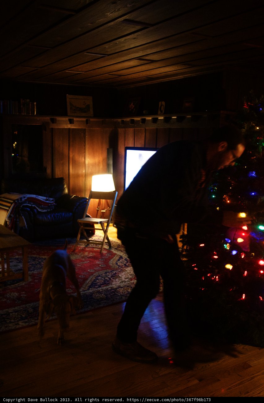 Festive Decorating in the Living Room