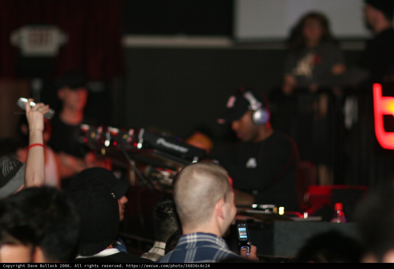 Capturing the Excitement of the Concert