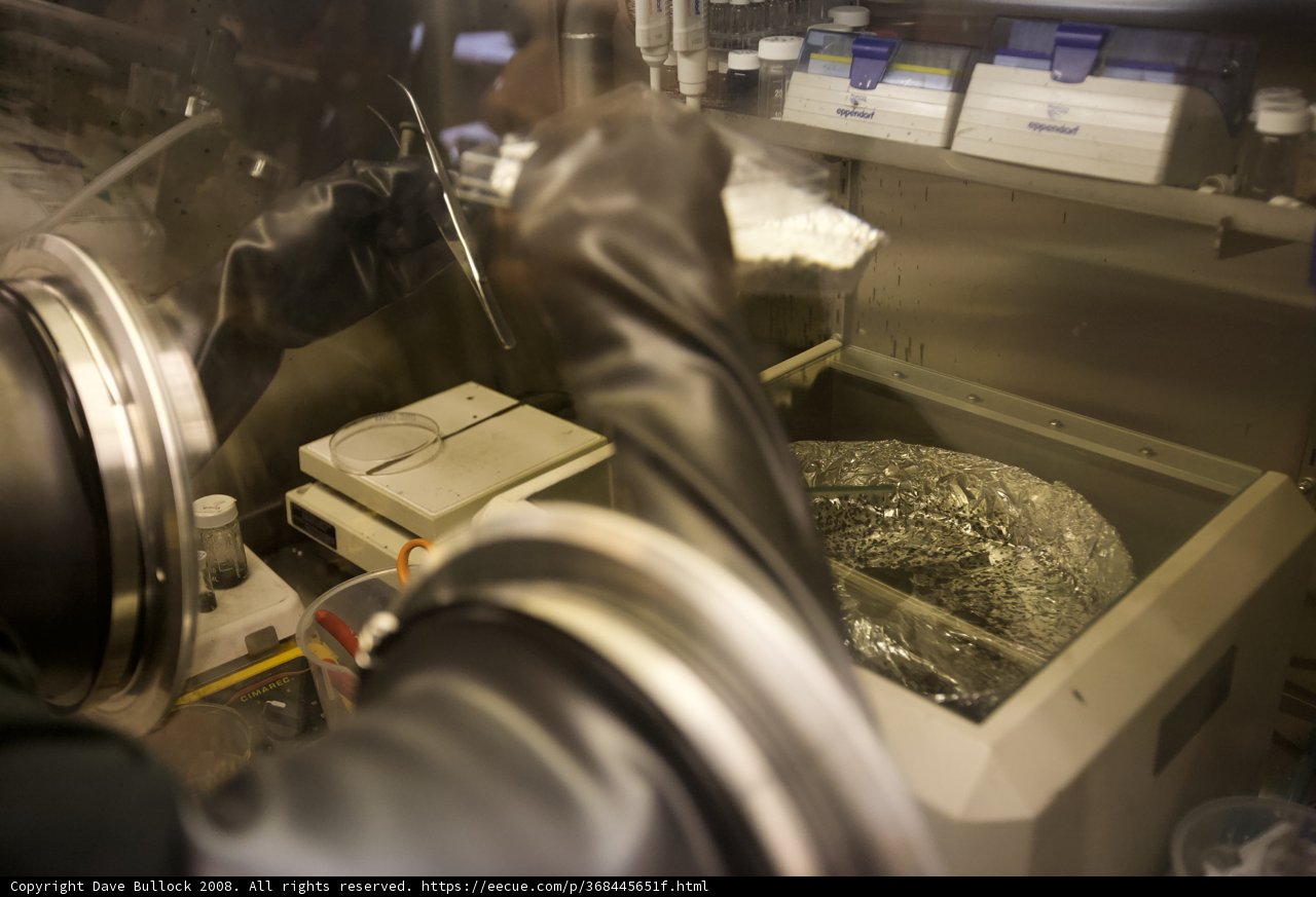 Lab Work