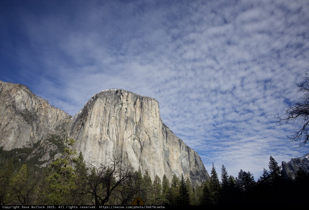 El Capitan Rising Above Yosemite Valley Forest