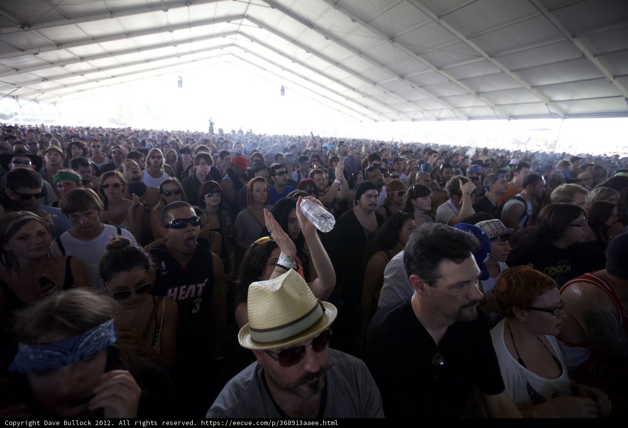 Coachella 2012 Crowd Frenzy