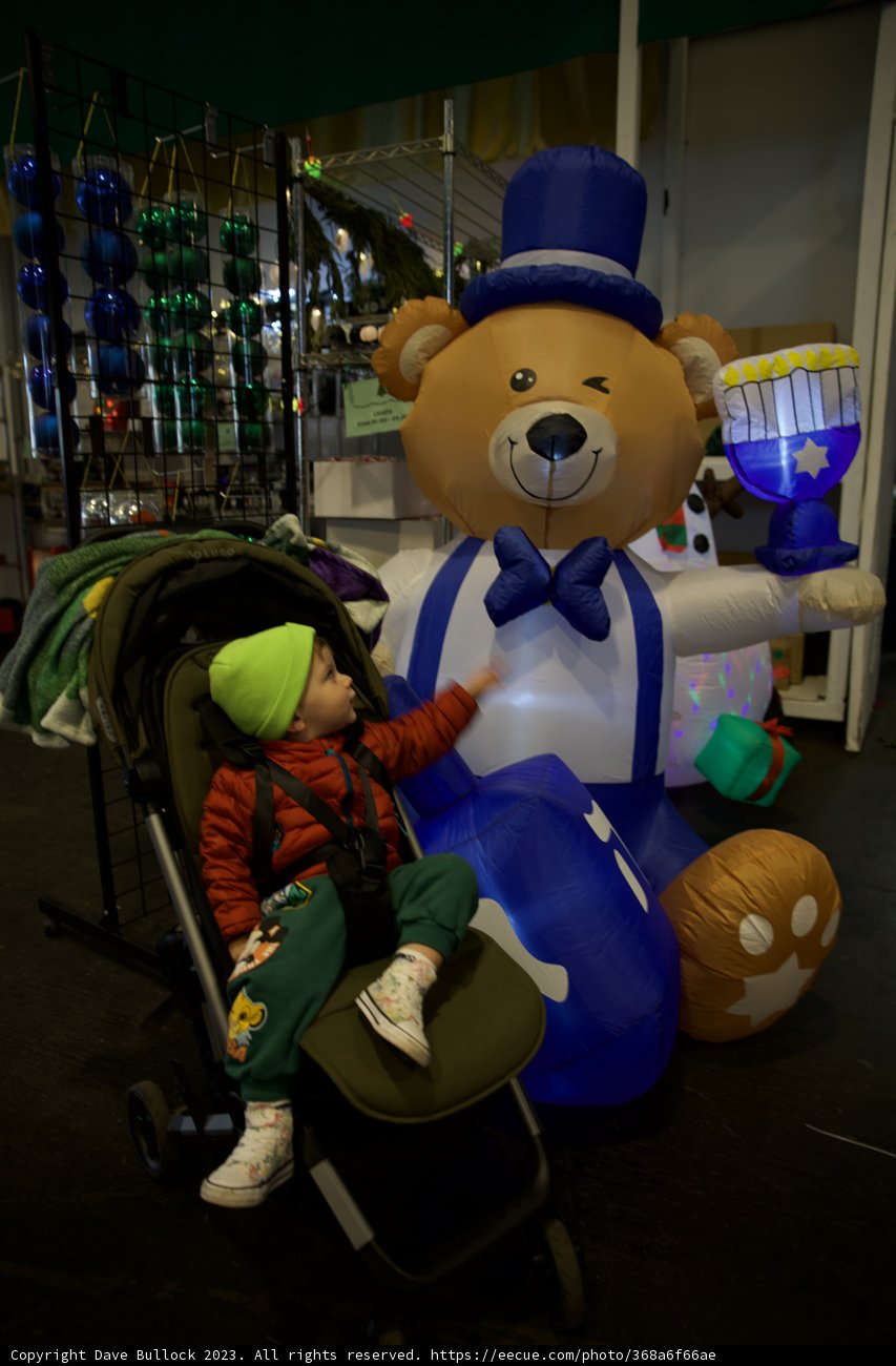 Giant Teddy Adventure at Fort Mason