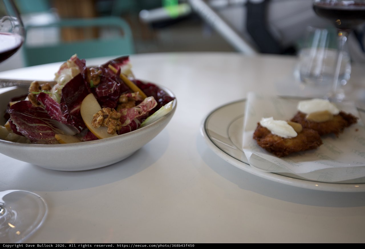 Elegant Bistro Meal with Salad and Fried Appetizer