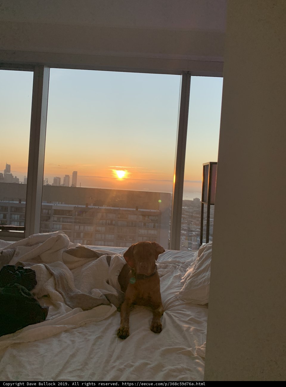 Sunset Snooze