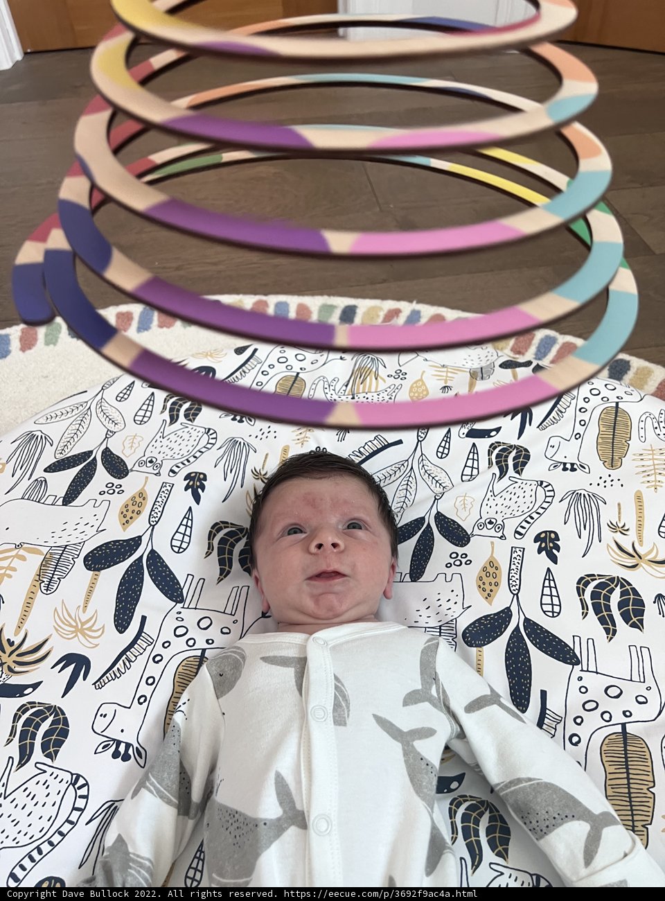 Hula Hoop Fun with Baby Wesley
