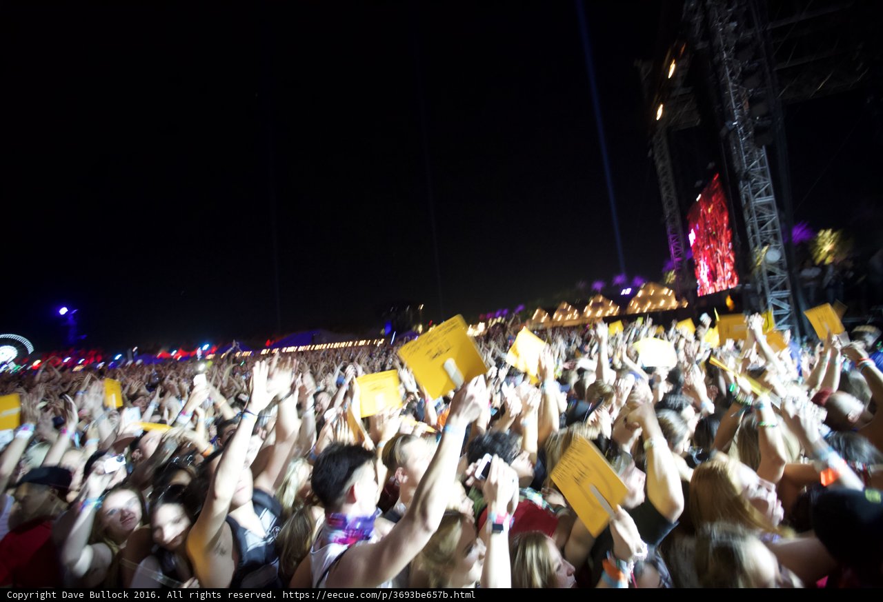 A Sea of Hands: The Rhythm of The Night