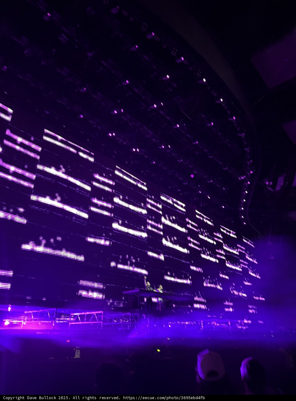 Electric Night Vibes