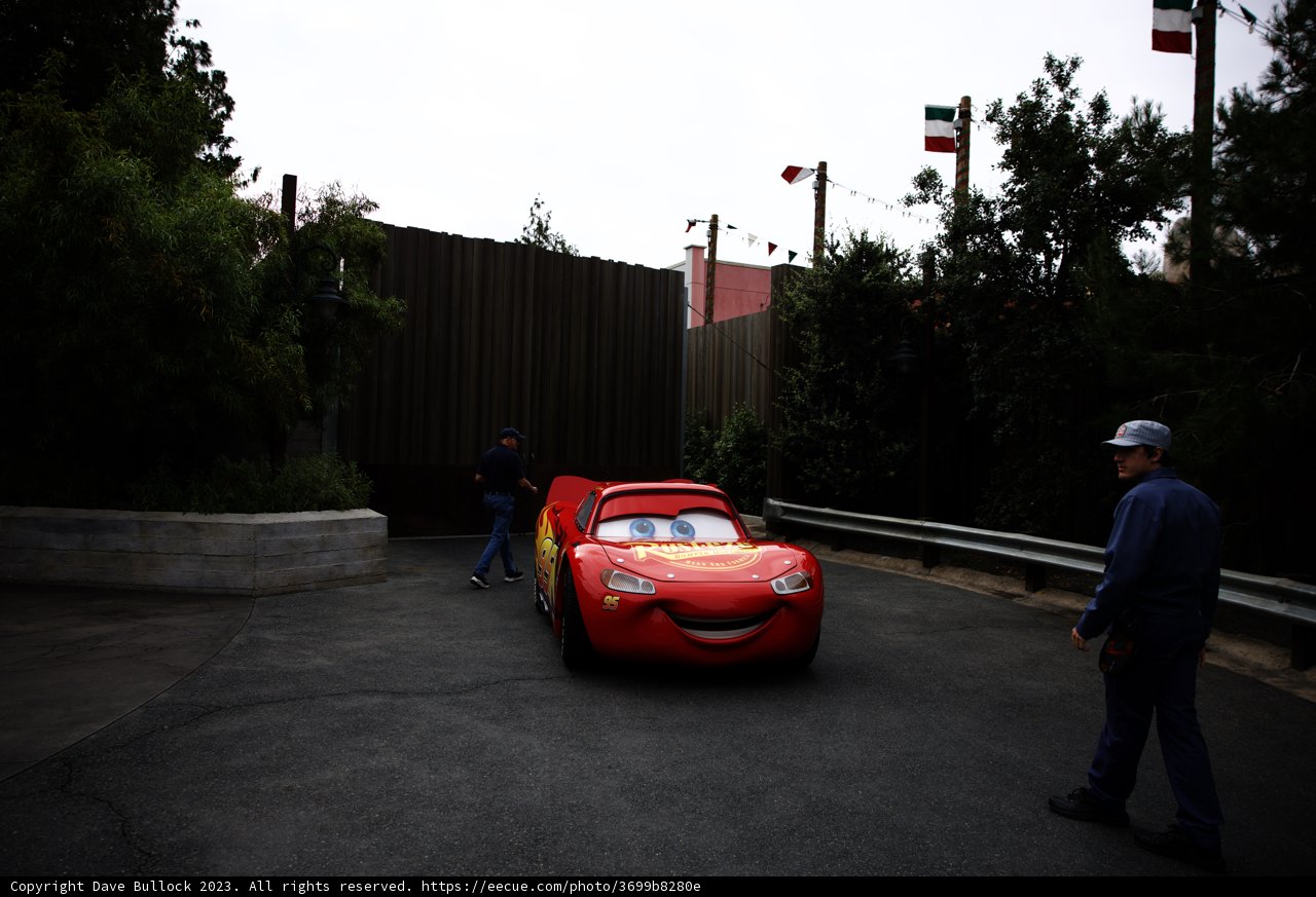 Thrilling Rides and Timeless Memories