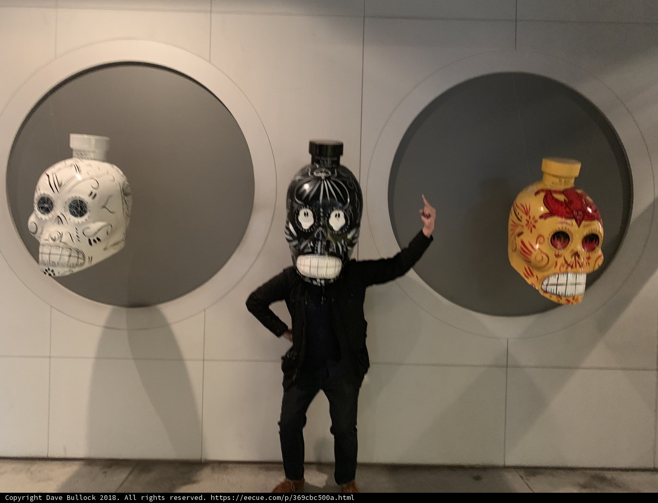Man and Skulls