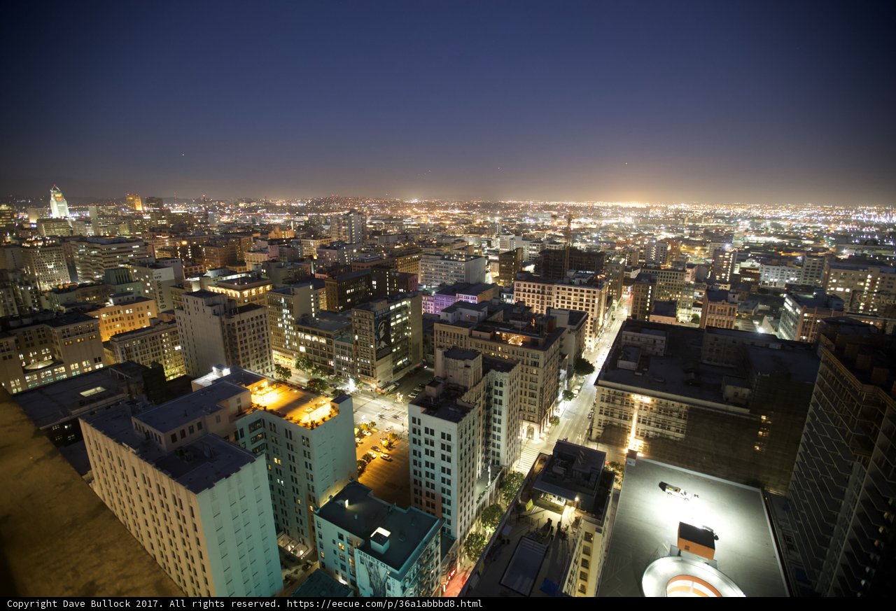 The Glittering Urban Jungle