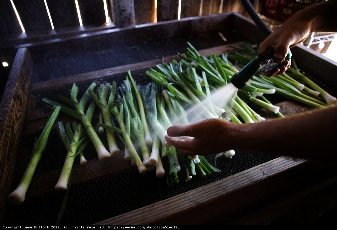 A Fresh Approach to Regenerative Gardening