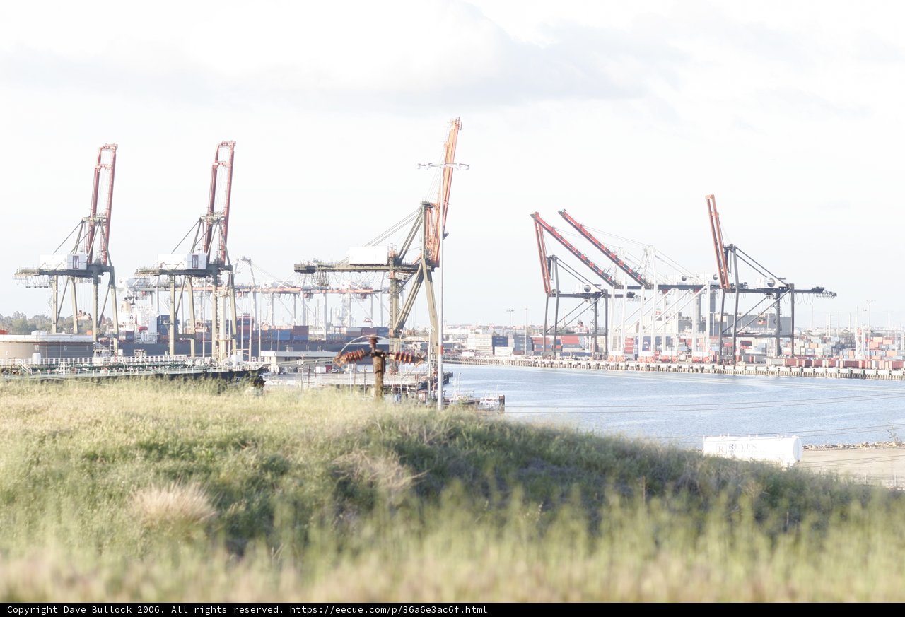A bustling harbor on a cloudy day
