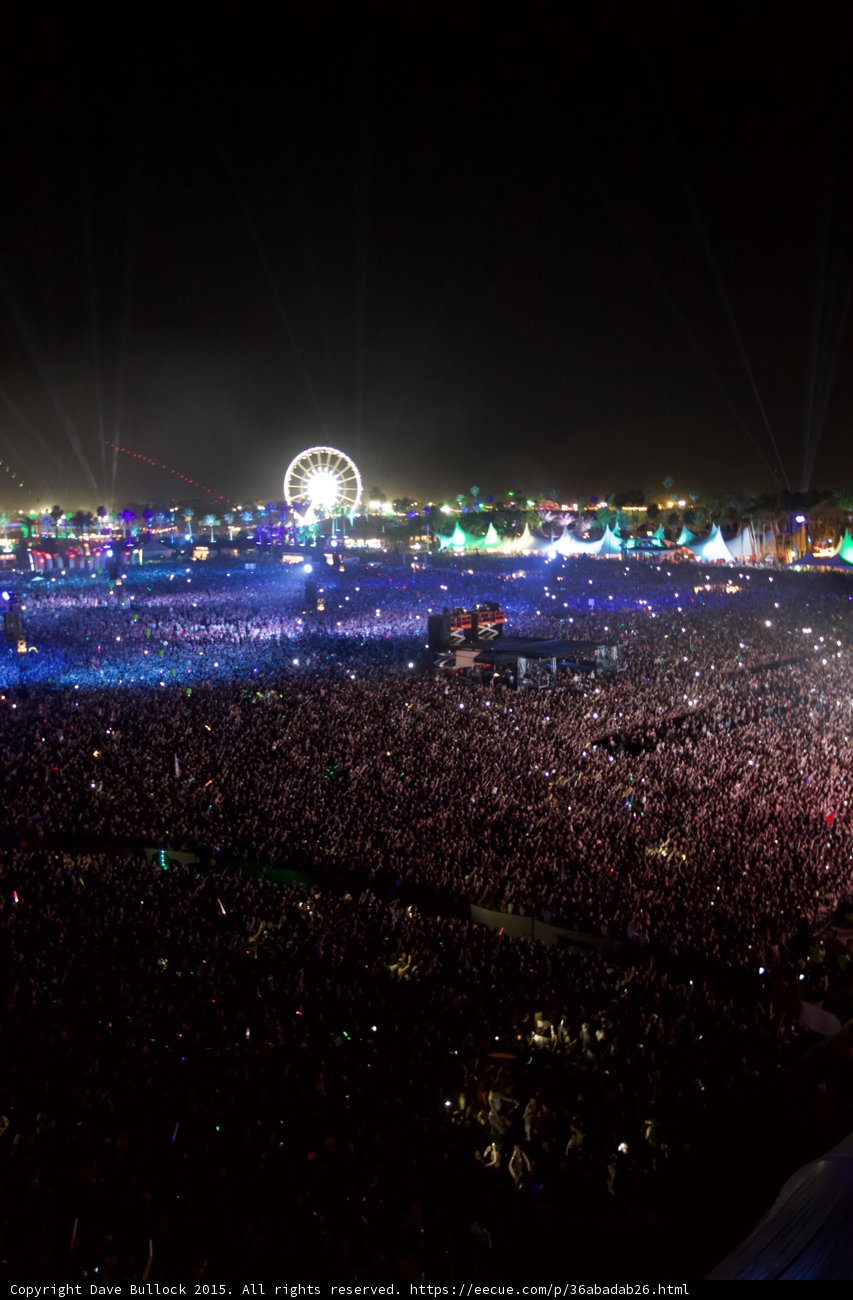 Electric Nights at Coachella