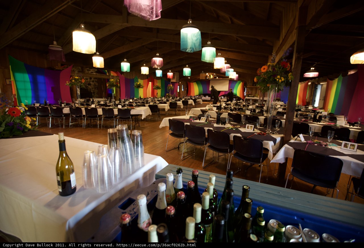 The Wedding Reception