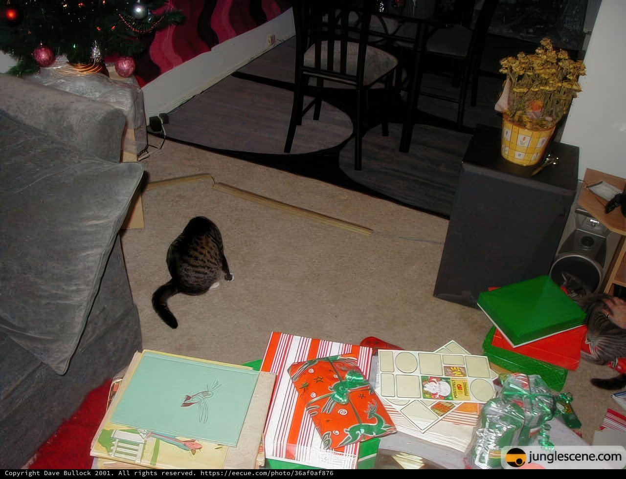 Feline Festivities