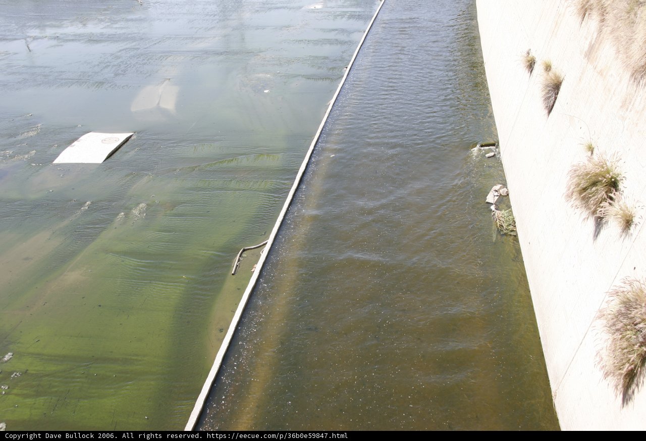 Algae-Infested River