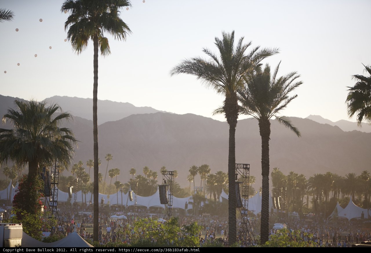 Palm Trees and Mountains in Coachella