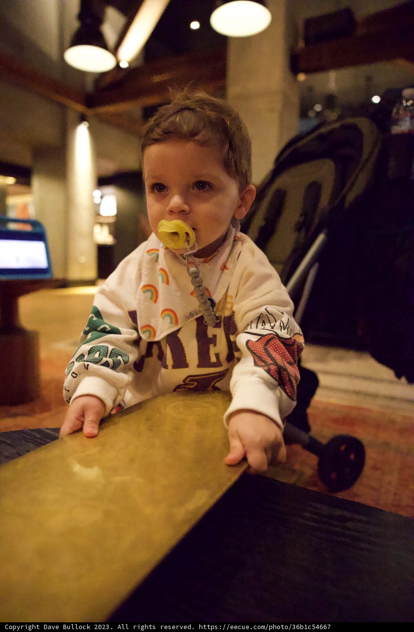 Discovering Joy in Unorthodox Headgear