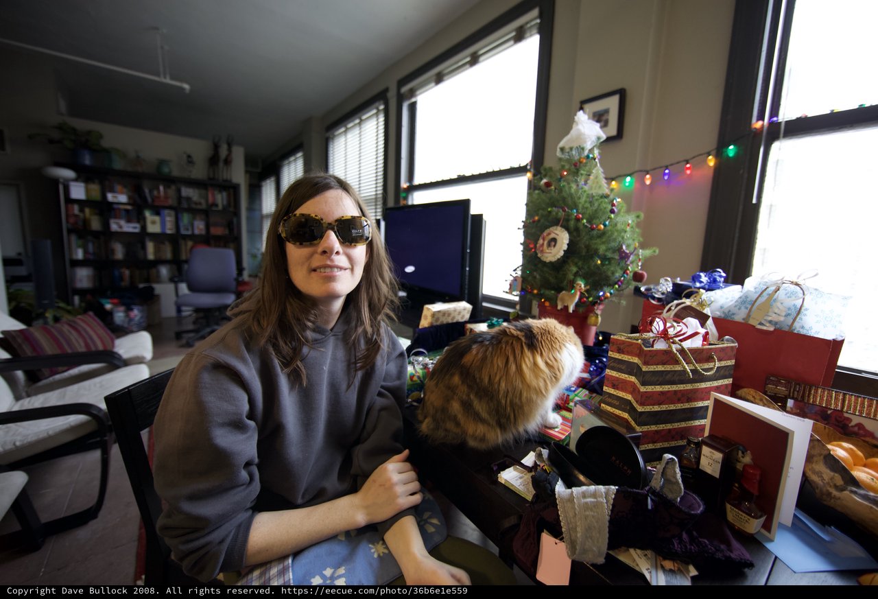 Christmas Day Celebration With Cat and Holiday Gifts