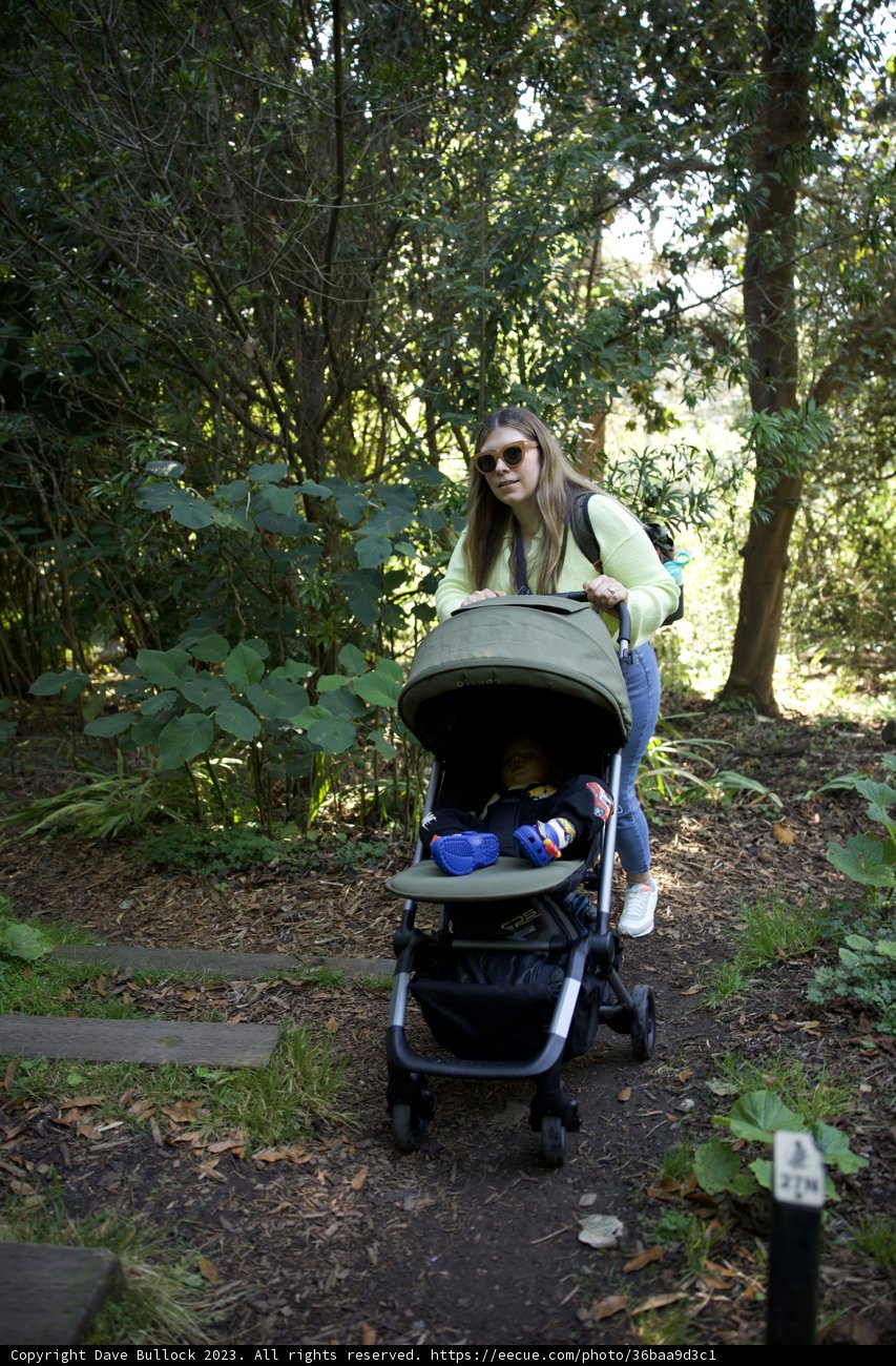 Stroll in the Green Oasis