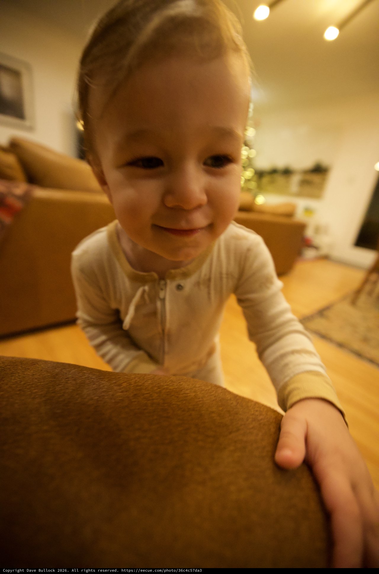Joyful Toddler Playing at Home During Christmas Season