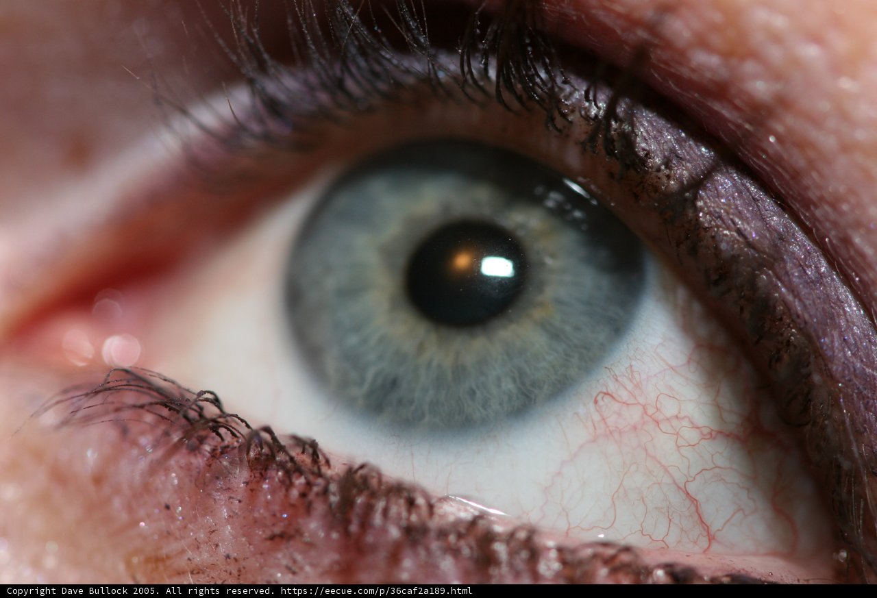 Blue-eyed Beauty