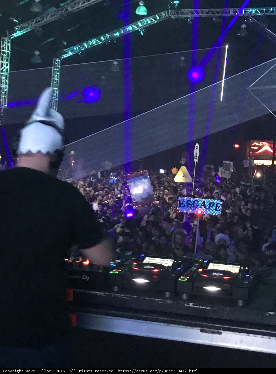 Clubbing with the Electric Crowd
