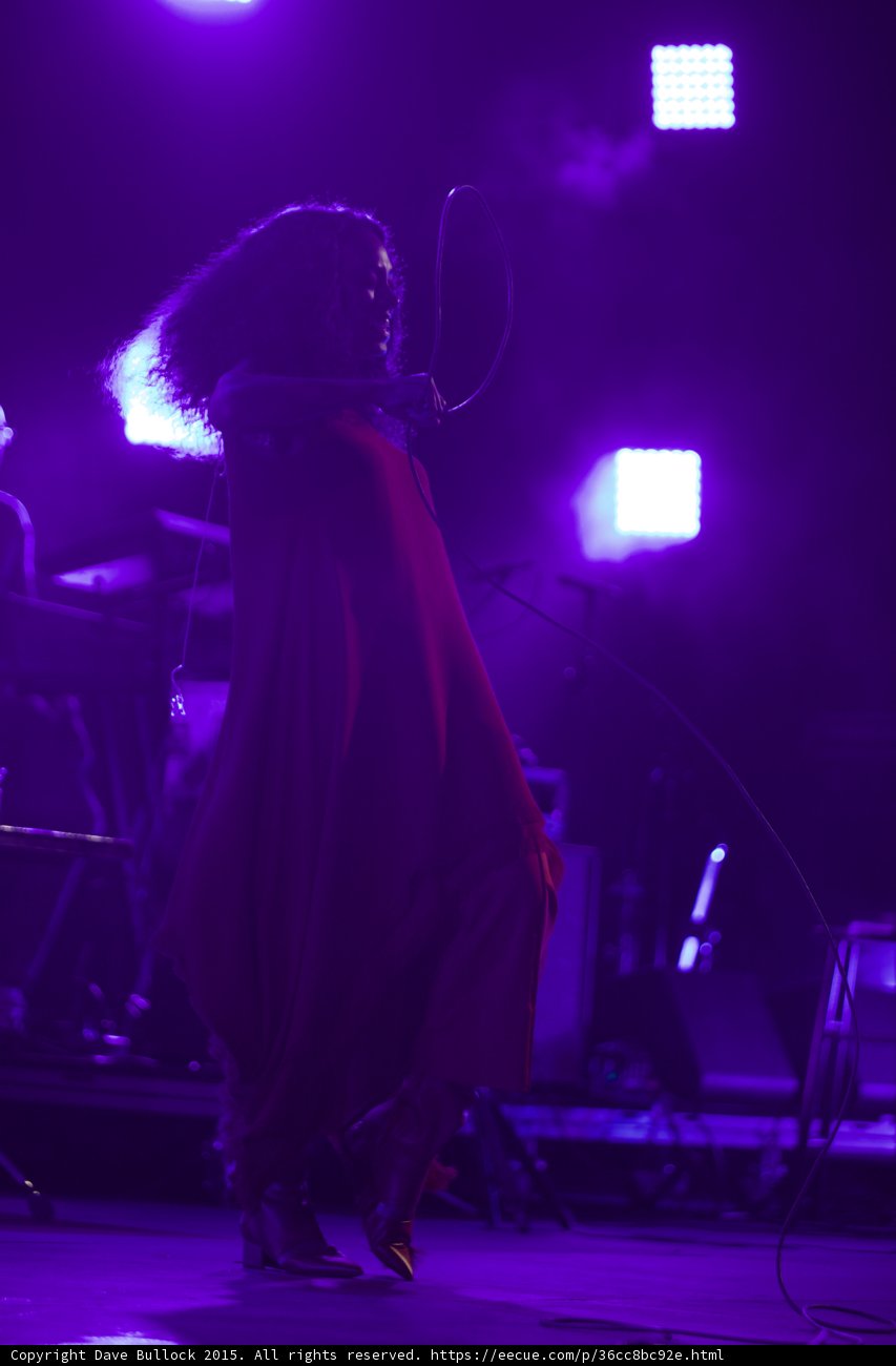Solange Profile Silhouette Microphone Cord Loop Purple