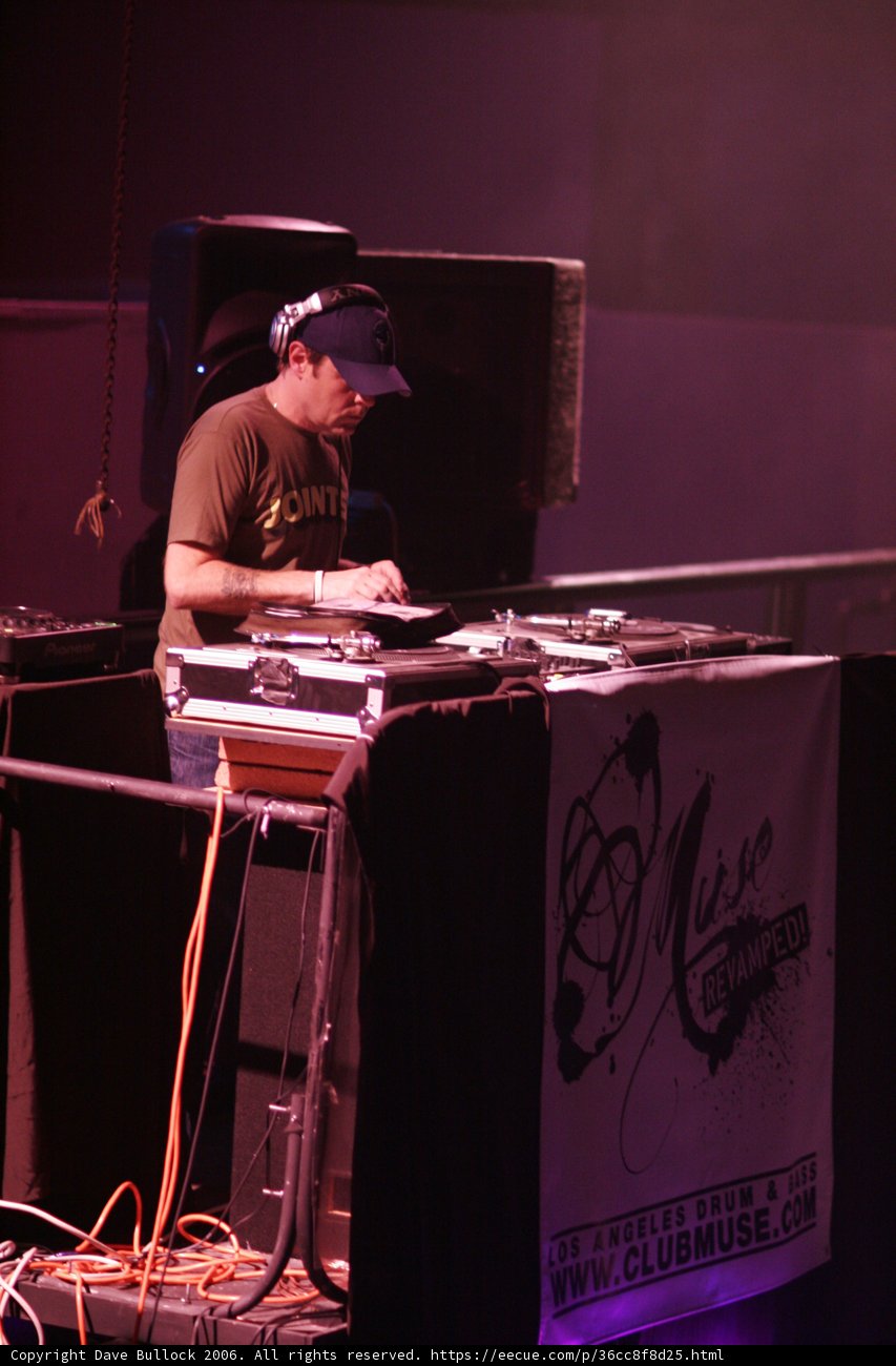 DJ at Night