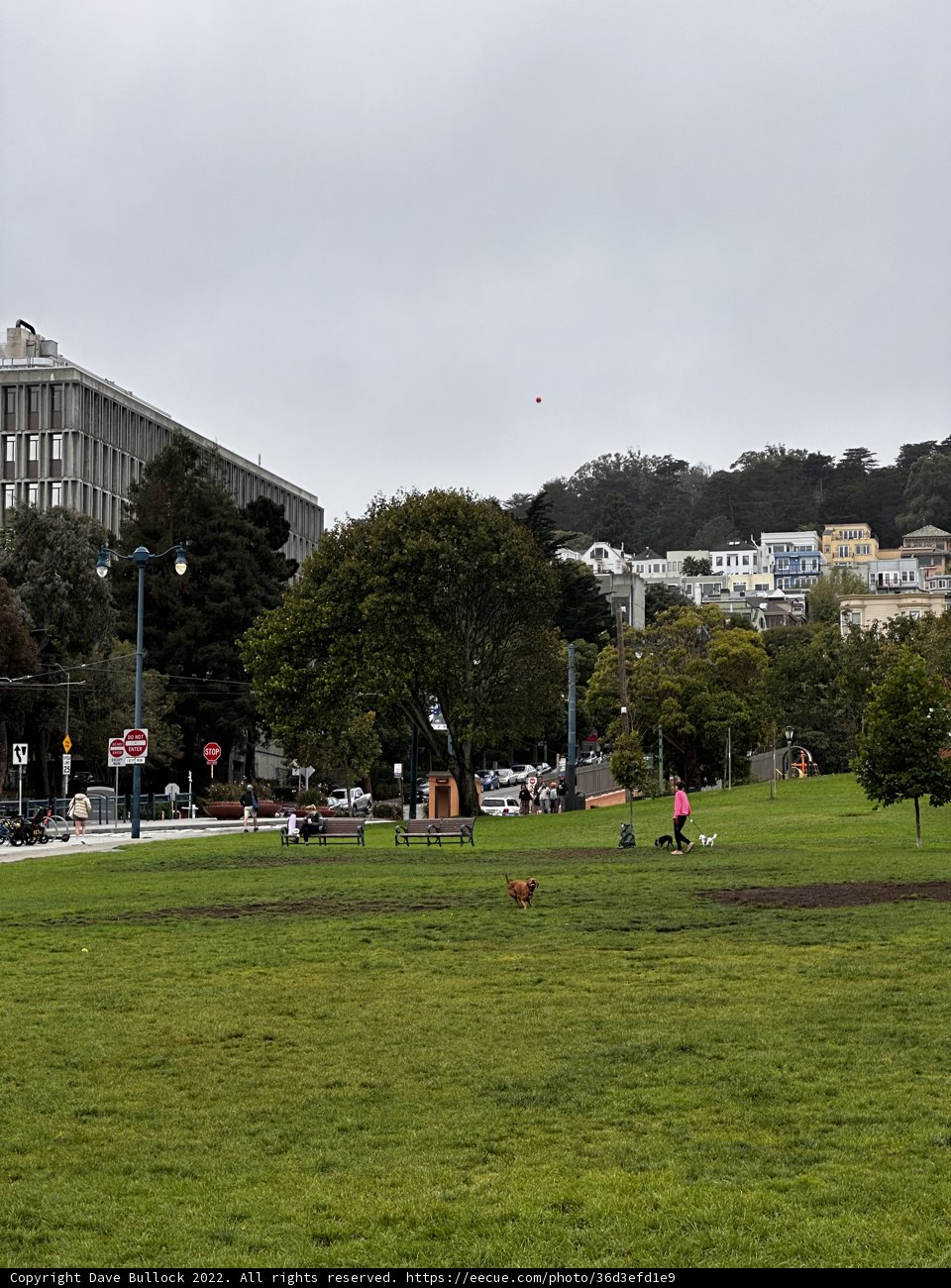 Duboce Park: An Urban Oasis