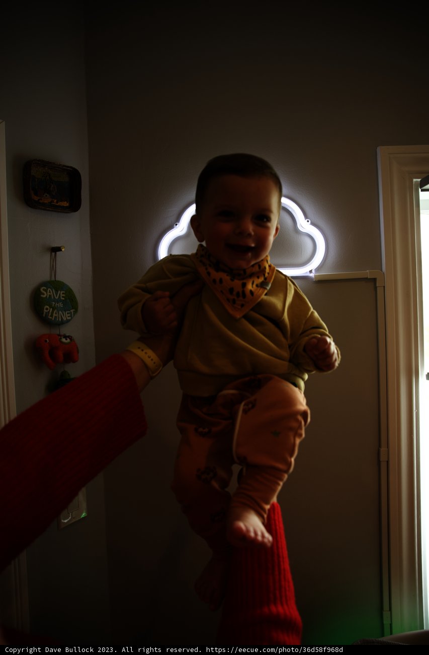 Wesley's Mid-Air Adventure