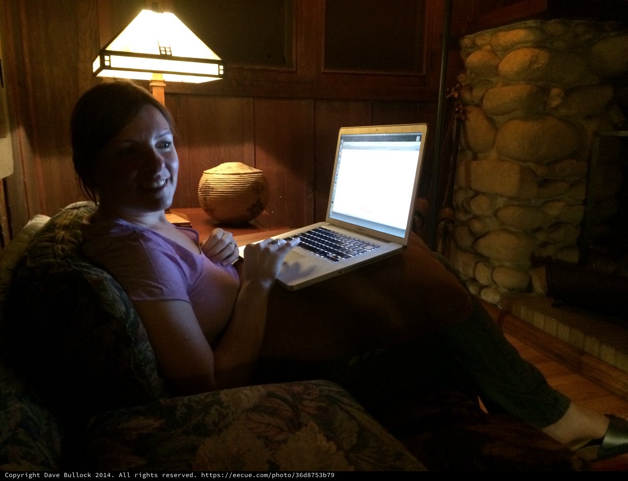 Late Night Laptop Session in Cozy Cabin Retreat