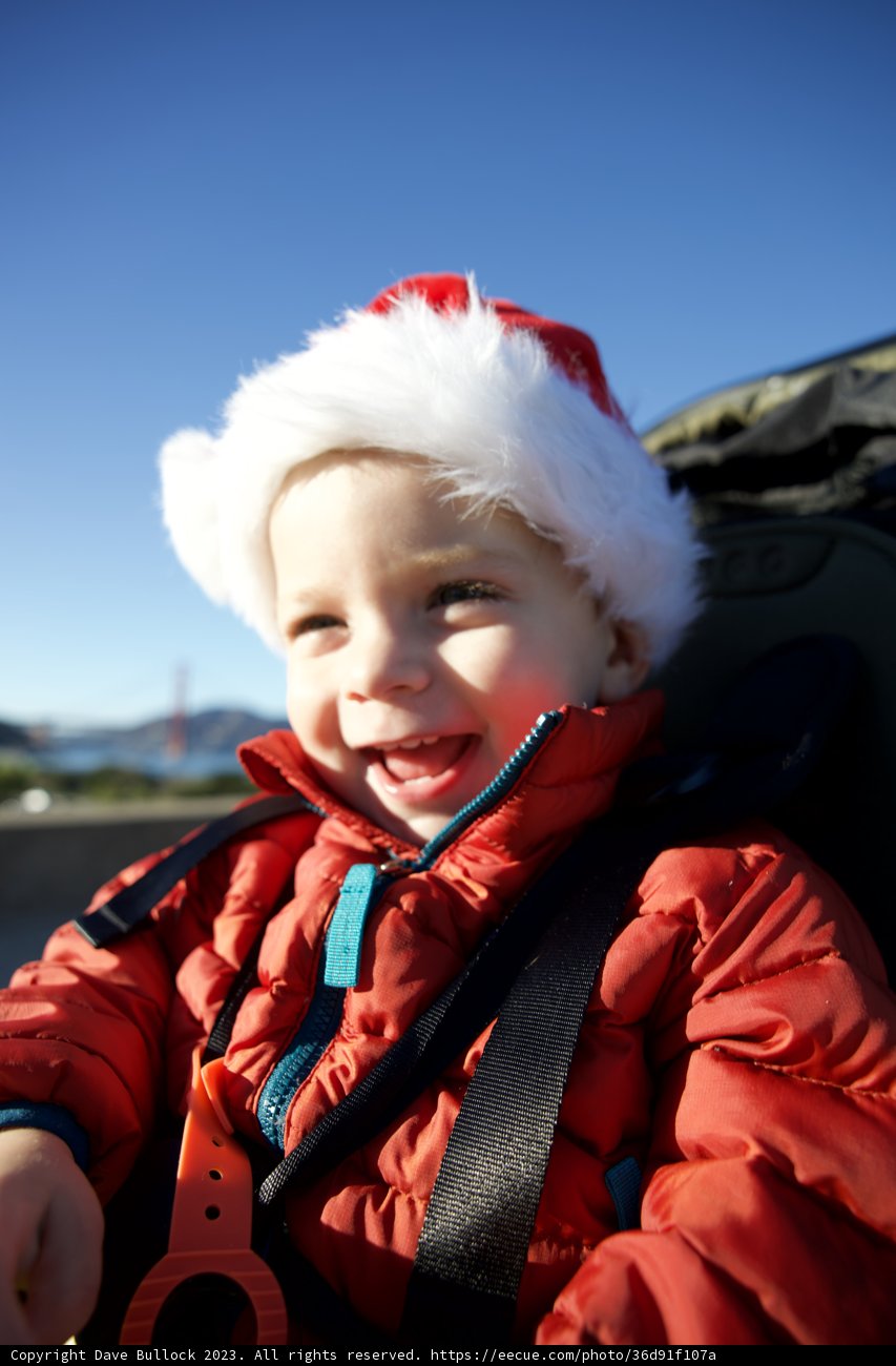 Embracing the Holiday Cheer