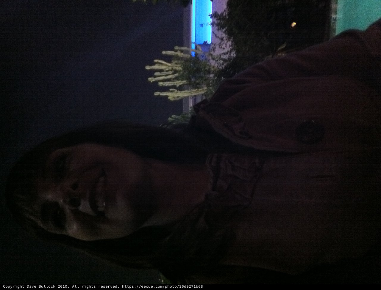 Night Portrait by Illuminated Pool and Cactus Garden