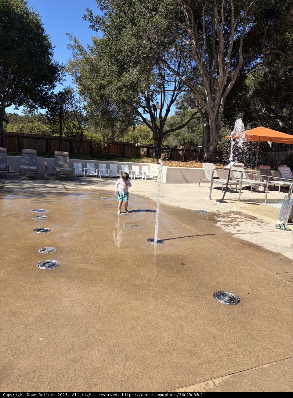 Splashes of Joy