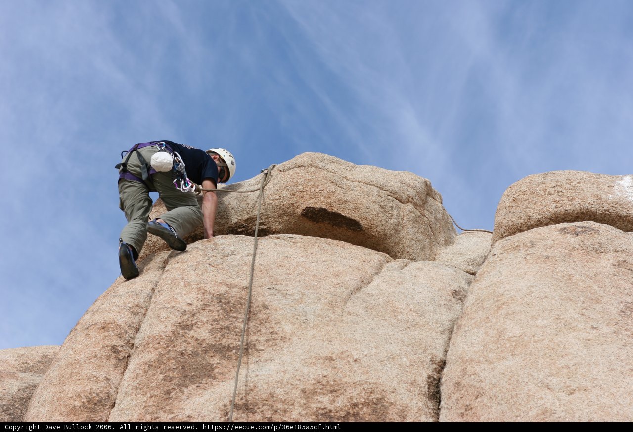 Scaling the Great Outdoors