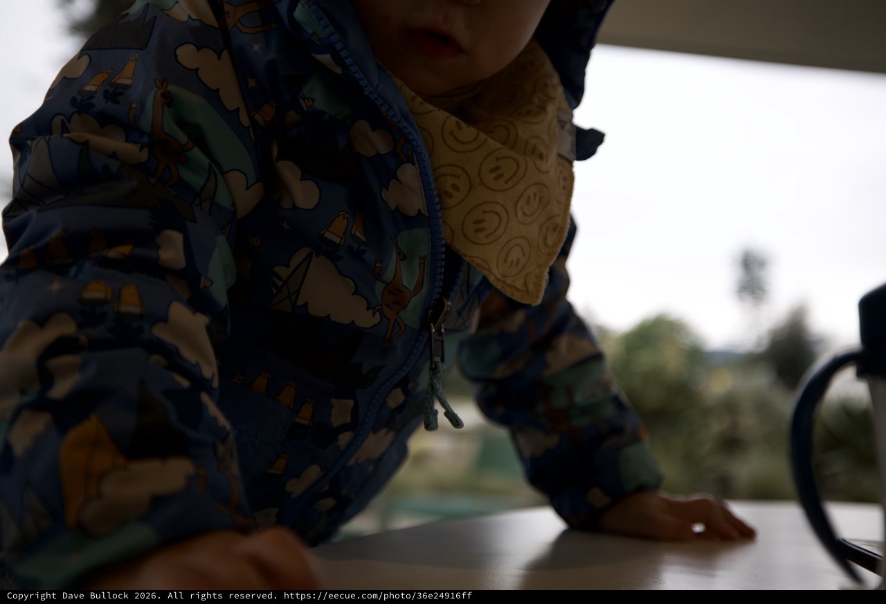 Child in Dinosaur Jacket During Outdoor Meal