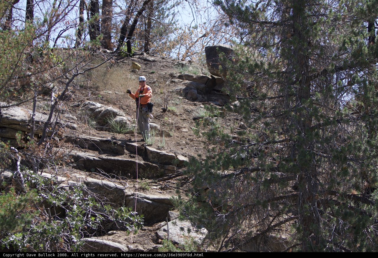 Standing Tall on Summit Rocks