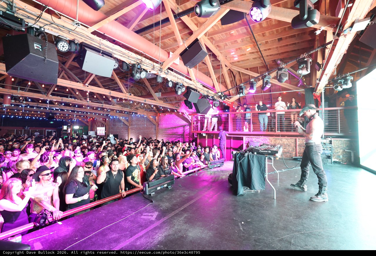 DJ Performs Live at Packed Wobbleland 2026 Show