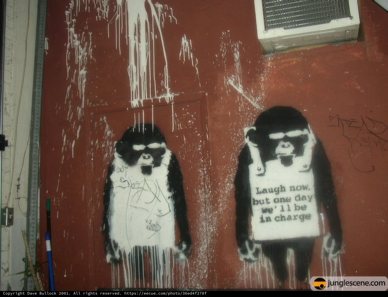 Monkey Graffiti