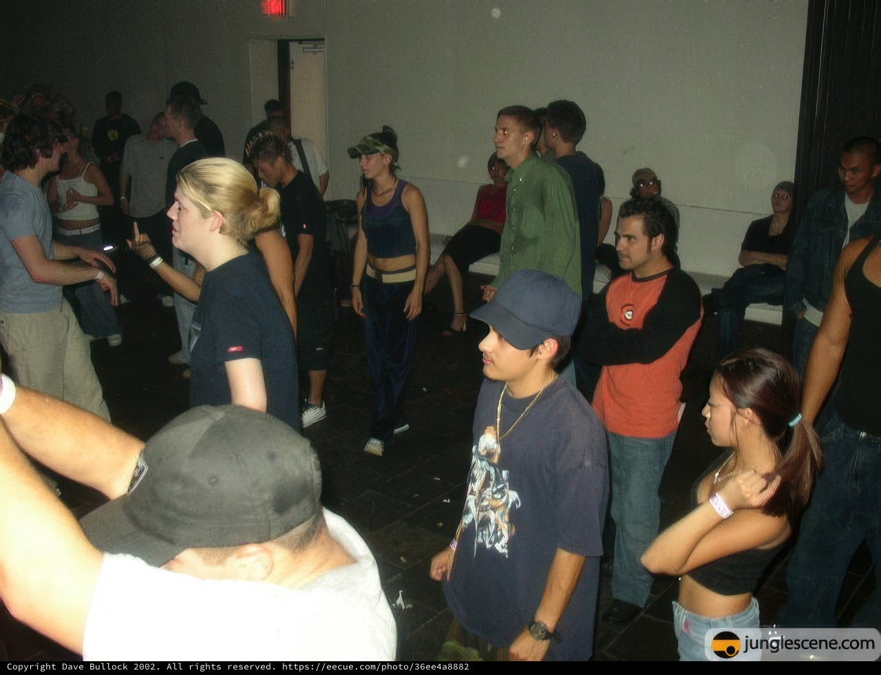 Nightclub Crowd around Dance Floor