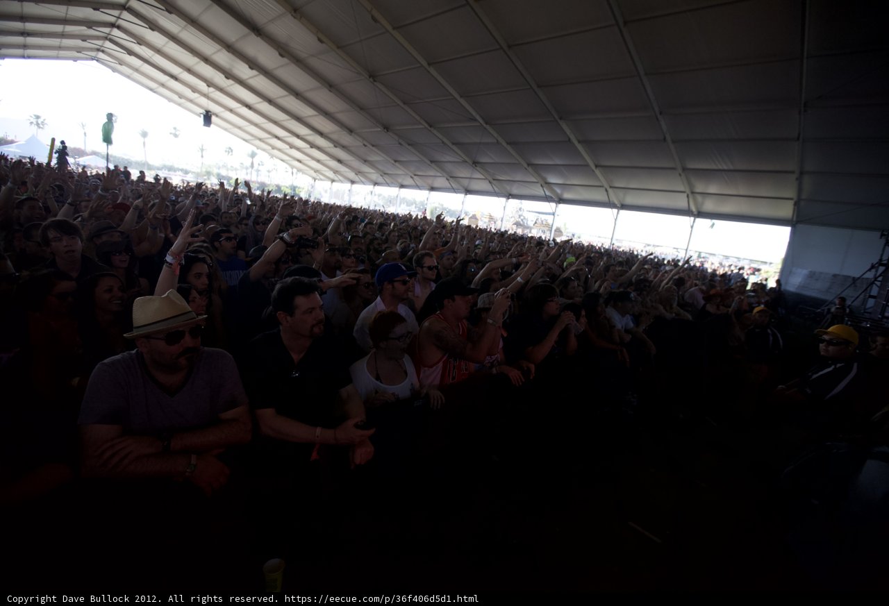 Coachella Crowd Goes Wild